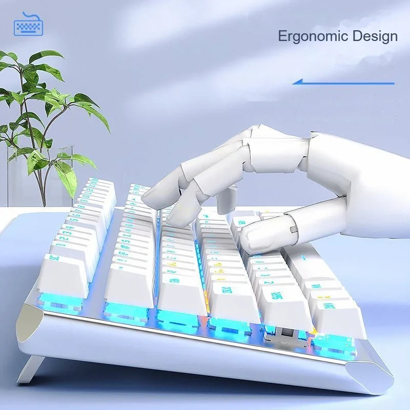 AULA F3087 Pro Mechanical Keyboard