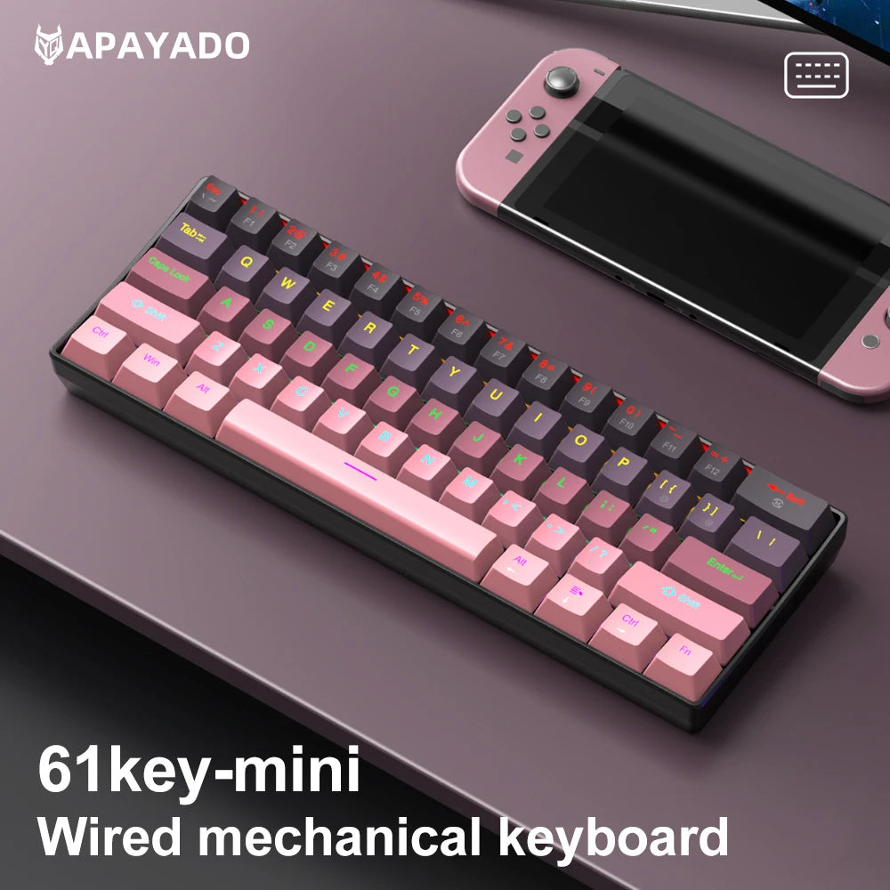 APAYADO Wired Gradient keyboard